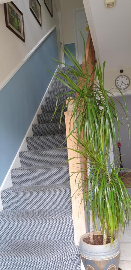 Farnham House Panzió Cavan Kültér fotó